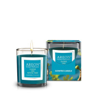 Ароматизатор свечи Areon 120g (Under the Mystic Tree)