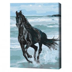 Картина по номерам (в упаковке)  Чёрная лошадь