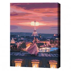 Картина по номерам (без упаковки)   Фантастический вечер в Париже