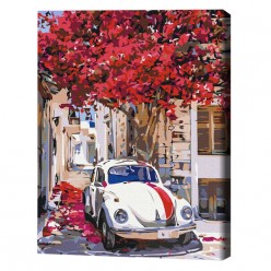 Картина по номерам (в упаковке)  Авто на цветущей улицы