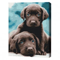 Картина по номерам (Без упаковки)  Голубоглазые щенки