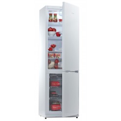 Холодильник SNAIGE RF 36SM-S0002F