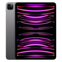 Apple 12.9-inch iPad Pro 1Tb Wi-Fi + Cellular Space Gray (MP243RK/A)
