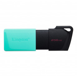 256GB USB3.2  Kingston DataTraveler Exodia M Black/Mint (Read 100 MByte/s, Write 12 MByte/s)