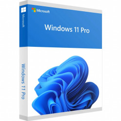 Microsoft Windows 11 Pro 64Bit Eng Intl 1pk DSP OEI DVD