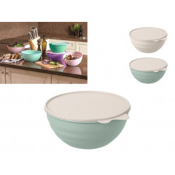 Миска пластиковая с крышкой Phibo 2.8l, 24.5cm