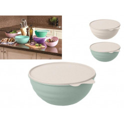 Миска пластиковая с крышкой Phibo 3.7l, 27cm