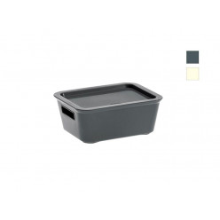 Коробка с крышкой Bella M 1.8l, 18X14X7cm