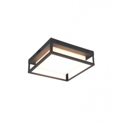 Потолочный светильник LED Trio WITHAM 14 Вт СМД 2700 - 4000 K 1550 лм 220 - 240 В IP54