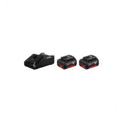 Набор зарядное устройство + 2 аккумулятора Bosch B1600A019S0 4 Ah 18 В li-Ion