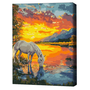 Pictură pe numere 40х50 cm (fără cutie) – Un cal în zori Pictură pe numere 40х50 cm (fără cutie) – Un cal în zori