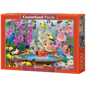 Puzzle 1000 elemente Puzzle 1000 elemente