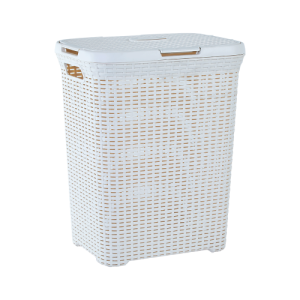 Organizatoare Aleana