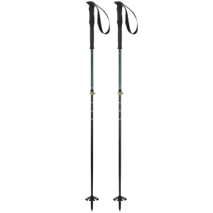 Bețe schi Elan Tour Carbon Rod