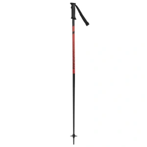 Спорт и туризм Rossignol