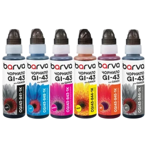 Recipient de cerneală Barva CGI43-1K-MP, 100ml, Pachet multiplu cu 6 culori Recipient de cerneală Barva CGI43-1K-MP, 100ml, Pachet multiplu cu 6 culori