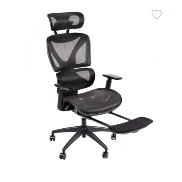 ErgoStyle 3012