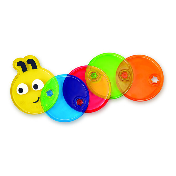 Omida multicolora Omida multicolora