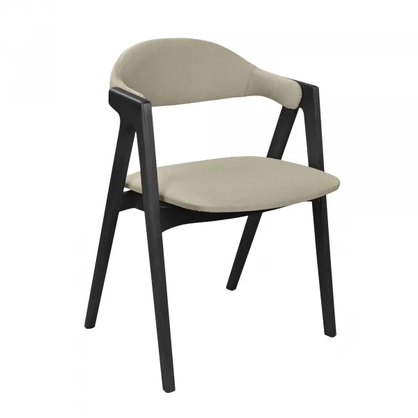 Scaun Logan Ambrella 09+Black Legs