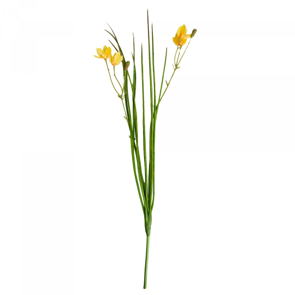 Floare decorativa Iris Galben