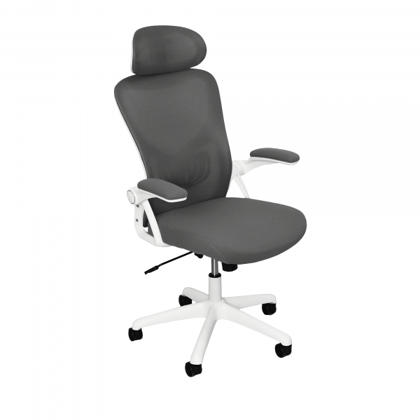 Fotoliu Birou Horus Grey
