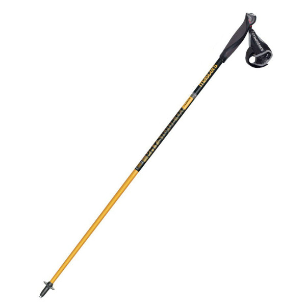 Bețe de Nordic Walking Masters Physique 0,1 (Înălțime: 105) Bețe de Nordic Walking Masters Physique 0,1 (Înălțime: 105)