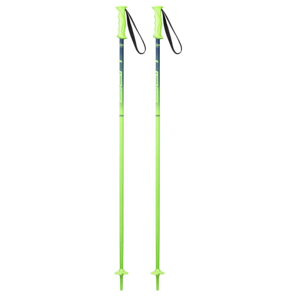 Горнолыжные палки Elan Rock Rod JR green (Высота: 95) Горнолыжные палки Elan Rock Rod JR green (Высота: 95)