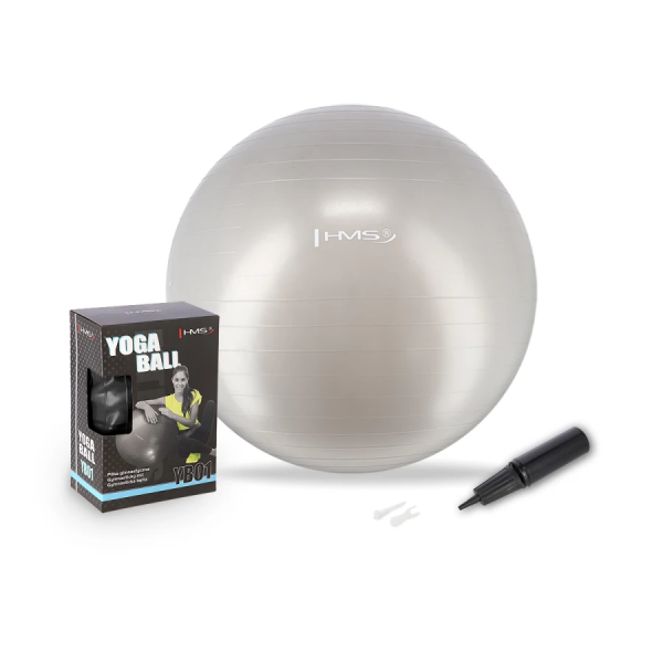 Fitball 65cm Gri YB01 NOU Mingea de Gimnastică HMS