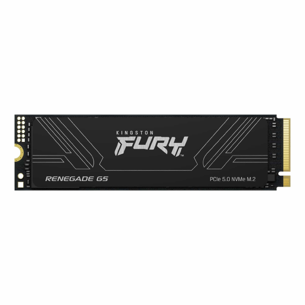 M.2 NVMe SSD Kingston Fury Renegade G5 1ТБ (SFYR2S/1T0)