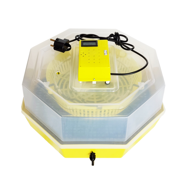 Incubator cu dispozitiv de intoarcere oua si termometru CLEO5DT/ INC3 (84362100) Incubator cu dispozitiv de intoarcere oua si termometru CLEO5DT/ INC3 (84362100)