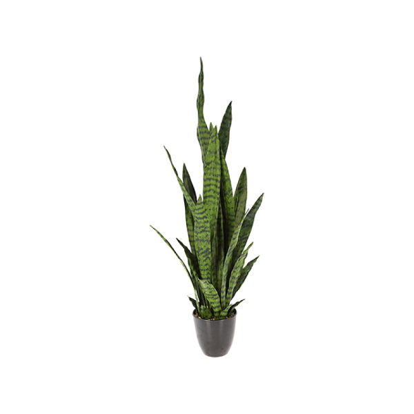 Planta artificiala "Sansevieria" 92cm, in ghiveci Planta artificiala "Sansevieria" 92cm, in ghiveci