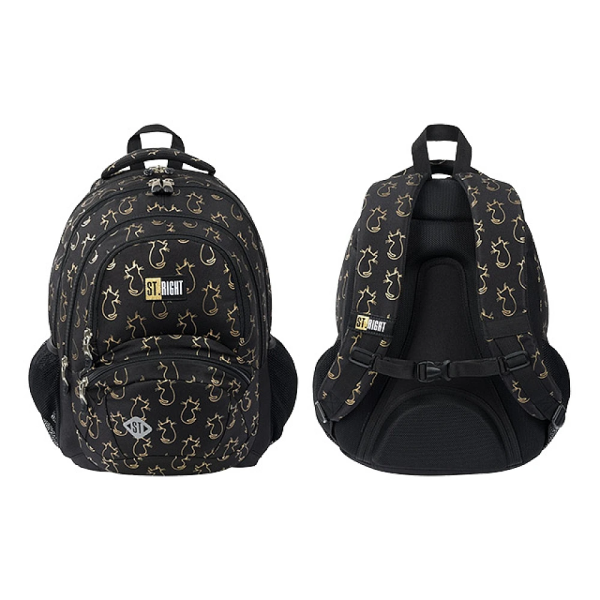 Рюкзак школьный ортопедический 32X21X43 см Golden Cats Рюкзак школьный ортопедический 32X21X43 см Golden Cats