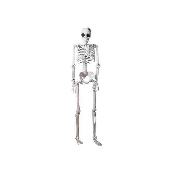 Сувенир подвесной Halloween "Скелет" 165X38 см Сувенир подвесной Halloween "Скелет" 165X38 см
