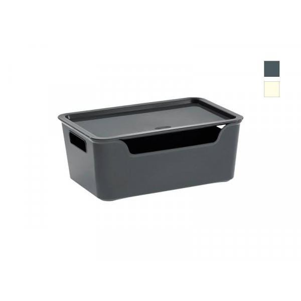 Коробка с крышкой Bella XL 4.22l, 28X18X11cm Коробка с крышкой Bella XL 4.22l, 28X18X11cm