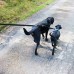 Развилка для крепления к поводку двух собак  Mountain paws Double Dog Lead