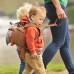 Детский рюкзак Динозавр little life Dinosaur Toddler Backpack with Rein