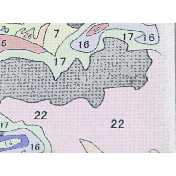 Картина по номерам 40*50 см (без упаковки) PREMIUM — Взгляд гурмана Картина по номерам 40*50 см (без упаковки) PREMIUM — Взгляд гурмана