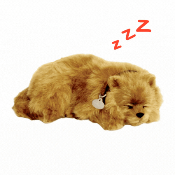 Cățeluș „Pomeranian” cu imitație de respirație Cățeluș „Pomeranian” cu imitație de respirație