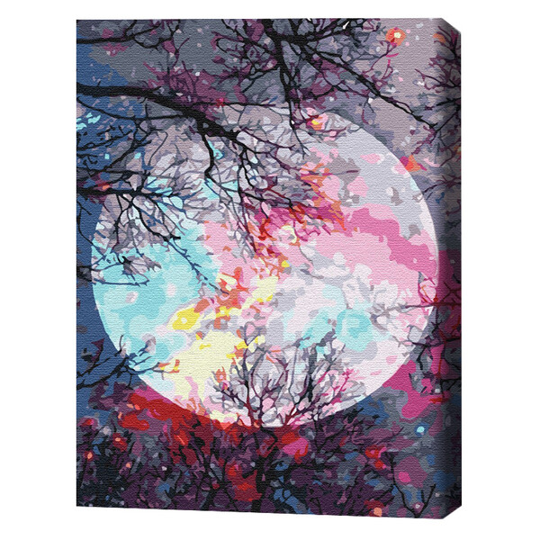Pictură pe numere 40*50 сm (în cutie) – Cu vedere la lună Pictură pe numere 40*50 сm (în cutie) – Cu vedere la lună