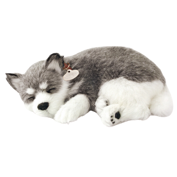 Cățeluș „Husky din Alaska” cu imitație de respirație Cățeluș „Husky din Alaska” cu imitație de respirație