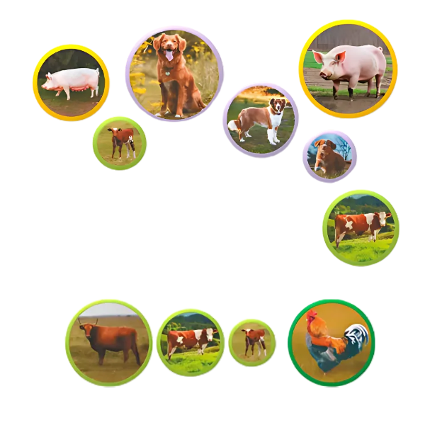 Joc magnetic „Familiile de animale: ferma”, 36 elem. Joc magnetic „Familiile de animale: ferma”, 36 elem.