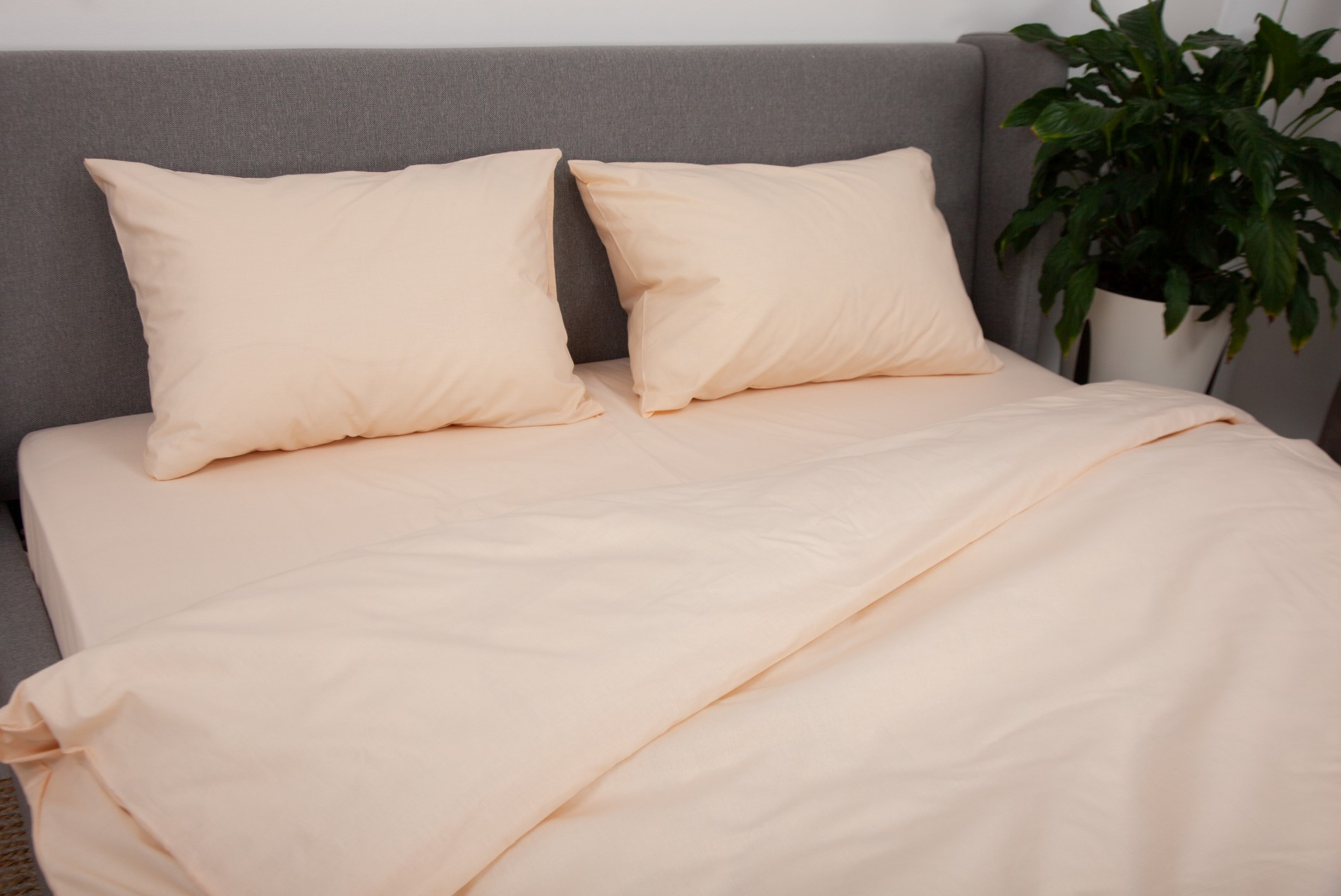 Комплект постельного белья Relaxe Home Soft Dreams 200 x 220 см Creamy Комплект постельного белья Relaxe Home Soft Dreams 200 x 220 см Creamy