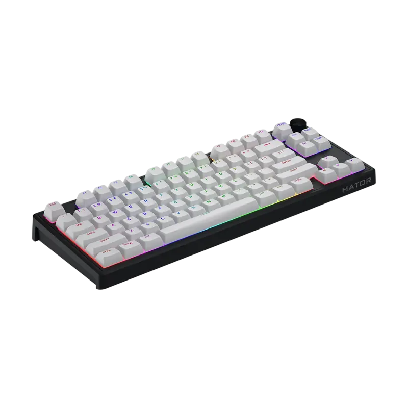 Tastatură HATOR Skyfall 80 MAG ULTRA 8K, Cu fir, Negru | Alb Tastatură HATOR Skyfall 80 MAG ULTRA 8K, Cu fir, Negru | Alb