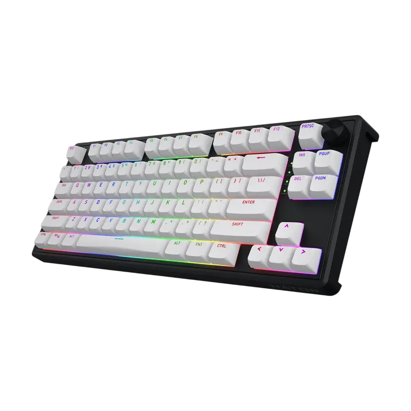 Tastatură HATOR Skyfall 80 MAG ULTRA 8K, Cu fir, Negru | Alb Tastatură HATOR Skyfall 80 MAG ULTRA 8K, Cu fir, Negru | Alb
