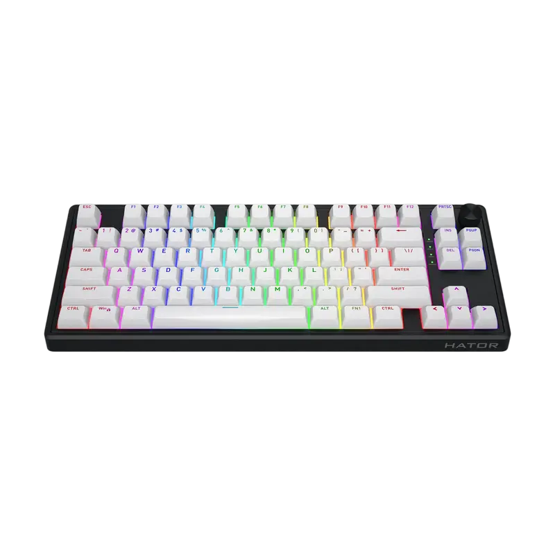Tastatură HATOR Skyfall 80 MAG ULTRA 8K, Cu fir, Negru | Alb Tastatură HATOR Skyfall 80 MAG ULTRA 8K, Cu fir, Negru | Alb