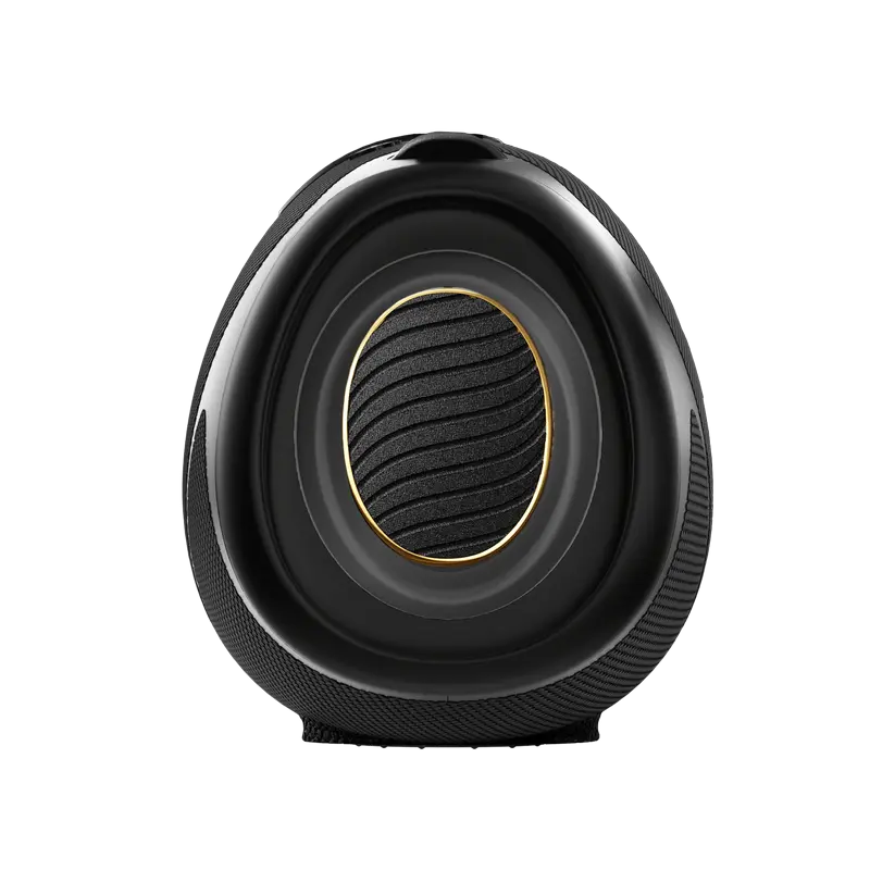 Portable Speakers WeBoom Hisense, Black Portable Speakers WeBoom Hisense, Black
