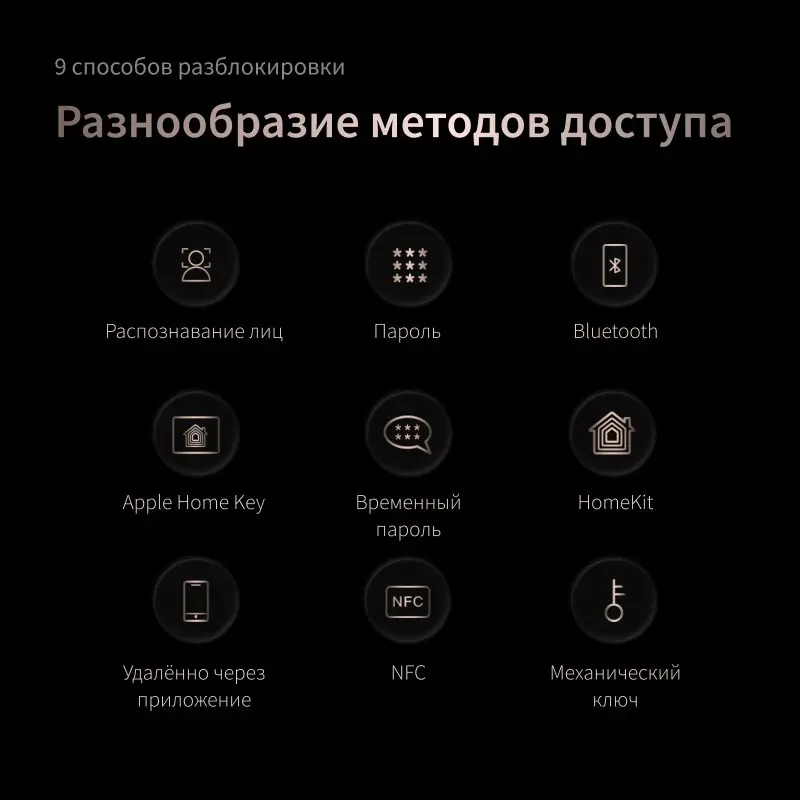 Încuietoare inteligentă AQARA Smart Lock D200i, Negru Încuietoare inteligentă AQARA Smart Lock D200i, Negru