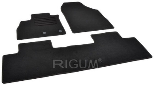 АВТОМОБИЛЬНЫЙ ВОРСОВЫЙ КОВРИК САЛОНА Rigum AKT Renault Scenic 16